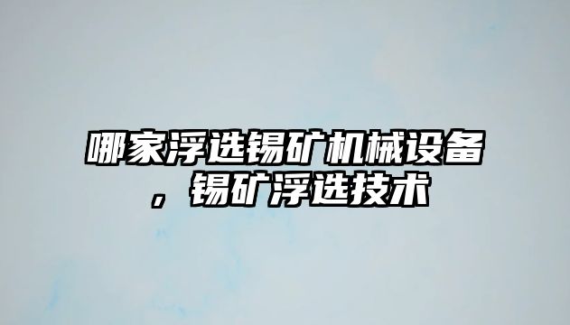 哪家浮選錫礦機械設備，錫礦浮選技術