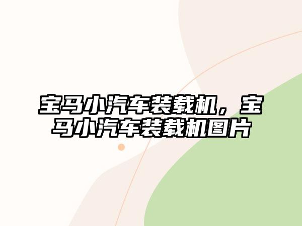 寶馬小汽車裝載機(jī)，寶馬小汽車裝載機(jī)圖片