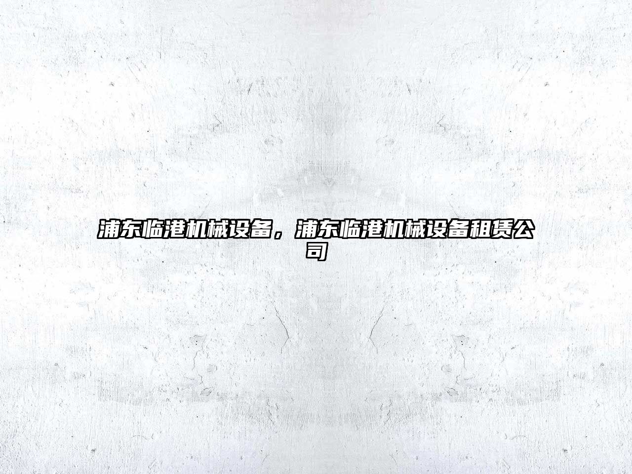 浦東臨港機械設備，浦東臨港機械設備租賃公司