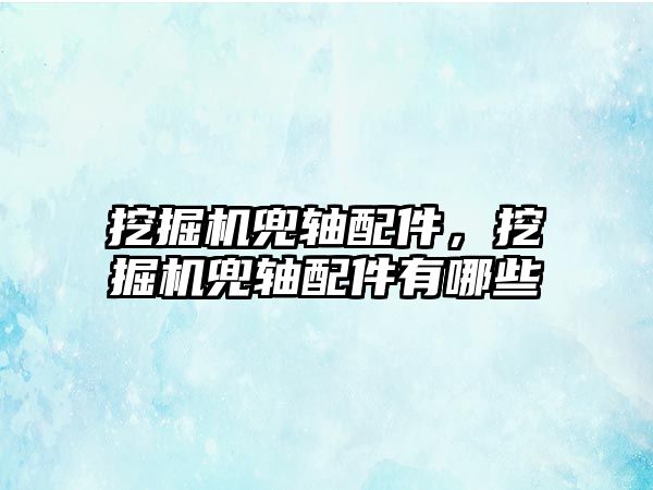 挖掘機兜軸配件，挖掘機兜軸配件有哪些