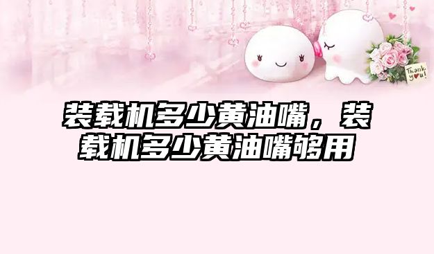 裝載機多少黃油嘴，裝載機多少黃油嘴夠用