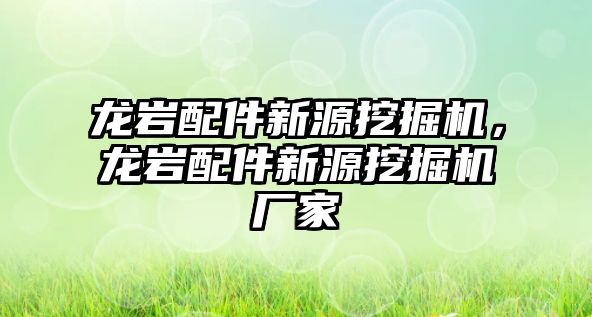 龍巖配件新源挖掘機，龍巖配件新源挖掘機廠家