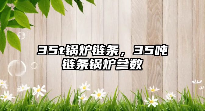 35t鍋爐鏈條，35噸鏈條鍋爐參數(shù)
