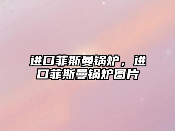 進(jìn)口菲斯曼鍋爐，進(jìn)口菲斯曼鍋爐圖片