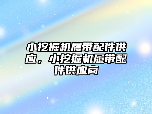 小挖掘機(jī)履帶配件供應(yīng)，小挖掘機(jī)履帶配件供應(yīng)商