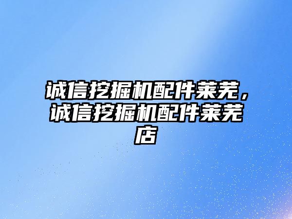 誠信挖掘機配件萊蕪，誠信挖掘機配件萊蕪店