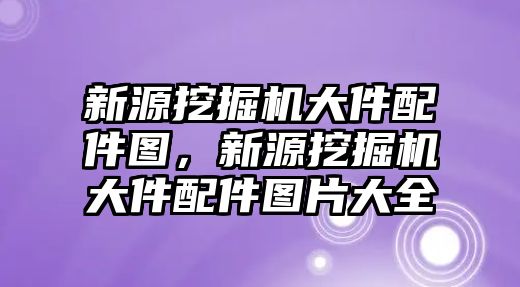新源挖掘機大件配件圖，新源挖掘機大件配件圖片大全