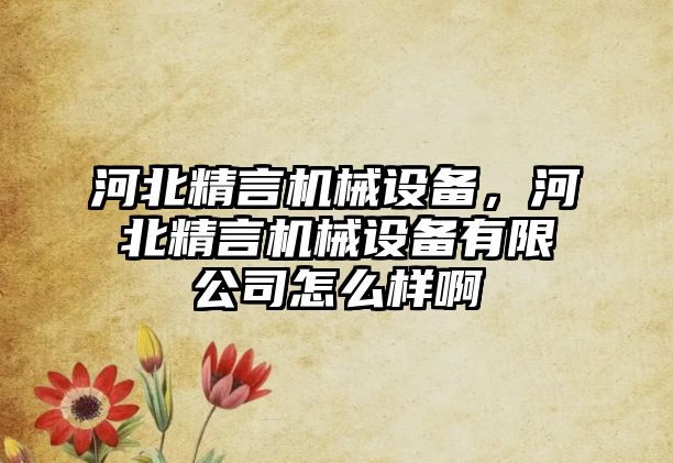 河北精言機(jī)械設(shè)備，河北精言機(jī)械設(shè)備有限公司怎么樣啊