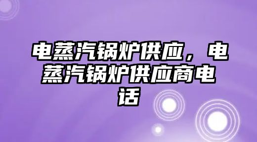 電蒸汽鍋爐供應(yīng)，電蒸汽鍋爐供應(yīng)商電話