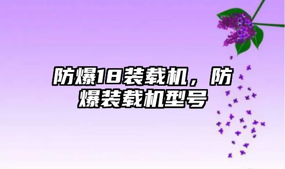 防爆18裝載機(jī)，防爆裝載機(jī)型號