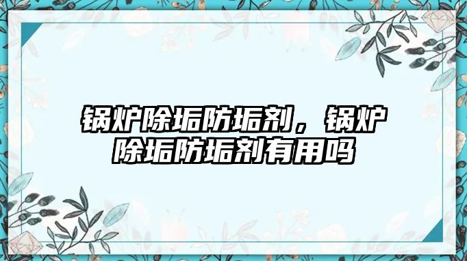 鍋爐除垢防垢劑，鍋爐除垢防垢劑有用嗎