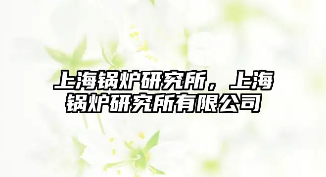 上海鍋爐研究所，上海鍋爐研究所有限公司