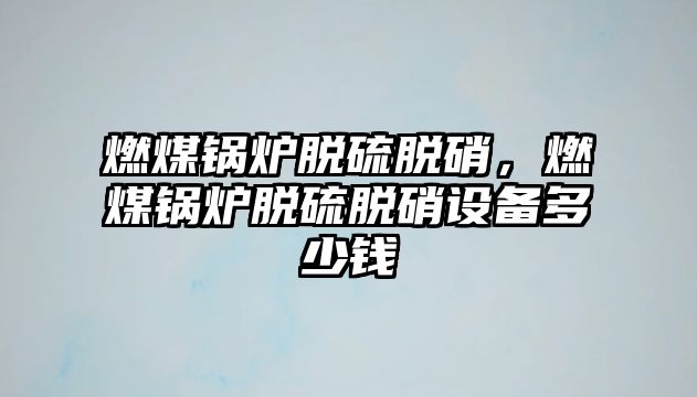 燃煤鍋爐脫硫脫硝，燃煤鍋爐脫硫脫硝設(shè)備多少錢