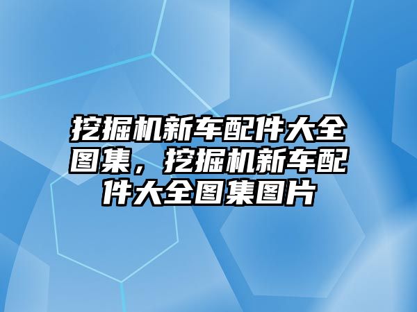 挖掘機(jī)新車(chē)配件大全圖集，挖掘機(jī)新車(chē)配件大全圖集圖片