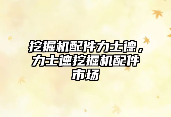 挖掘機配件力士德，力士德挖掘機配件市場