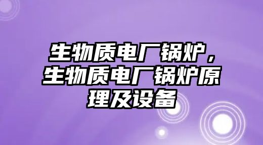 生物質(zhì)電廠鍋爐，生物質(zhì)電廠鍋爐原理及設(shè)備