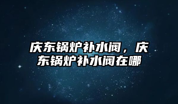 慶東鍋爐補(bǔ)水閥，慶東鍋爐補(bǔ)水閥在哪