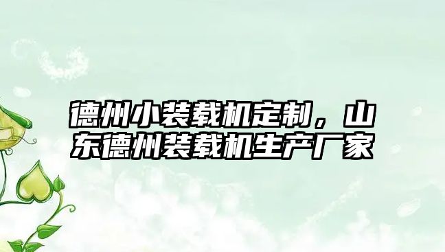 德州小裝載機(jī)定制，山東德州裝載機(jī)生產(chǎn)廠家
