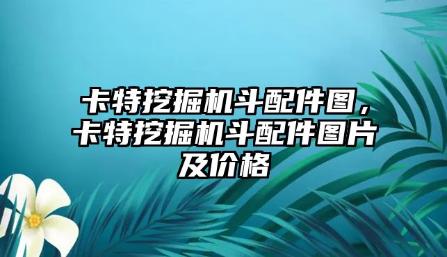 卡特挖掘機斗配件圖，卡特挖掘機斗配件圖片及價格