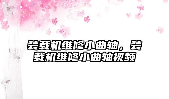 裝載機維修小曲軸，裝載機維修小曲軸視頻