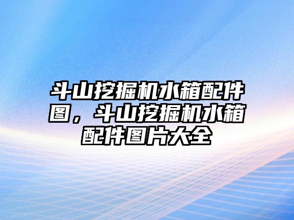斗山挖掘機水箱配件圖，斗山挖掘機水箱配件圖片大全