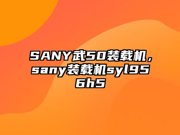 SANY武50裝載機(jī)，sany裝載機(jī)syl956h5