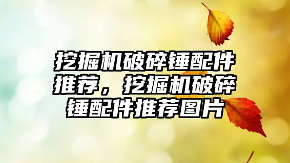 挖掘機(jī)破碎錘配件推薦，挖掘機(jī)破碎錘配件推薦圖片