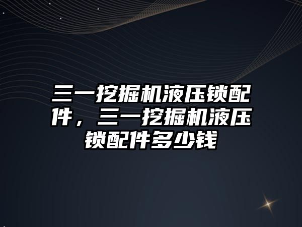 三一挖掘機(jī)液壓鎖配件，三一挖掘機(jī)液壓鎖配件多少錢
