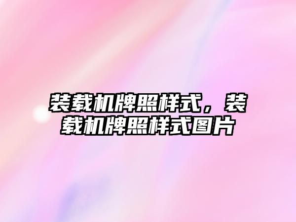 裝載機牌照樣式，裝載機牌照樣式圖片