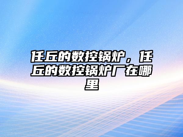 任丘的數(shù)控鍋爐，任丘的數(shù)控鍋爐廠在哪里