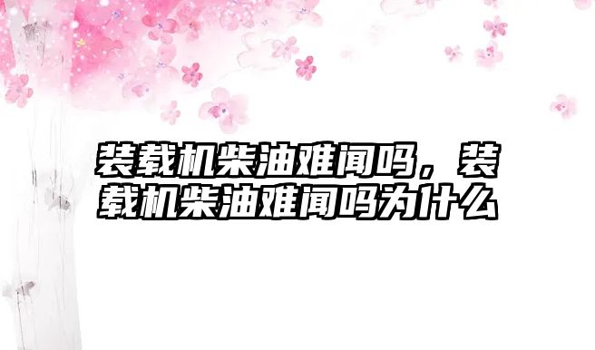 裝載機柴油難聞嗎，裝載機柴油難聞嗎為什么