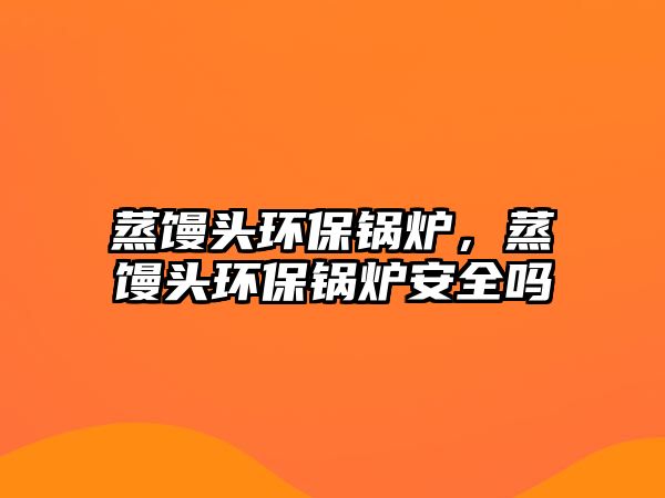 蒸饅頭環(huán)保鍋爐，蒸饅頭環(huán)保鍋爐安全嗎