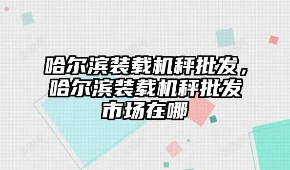 哈爾濱裝載機(jī)秤批發(fā)，哈爾濱裝載機(jī)秤批發(fā)市場在哪