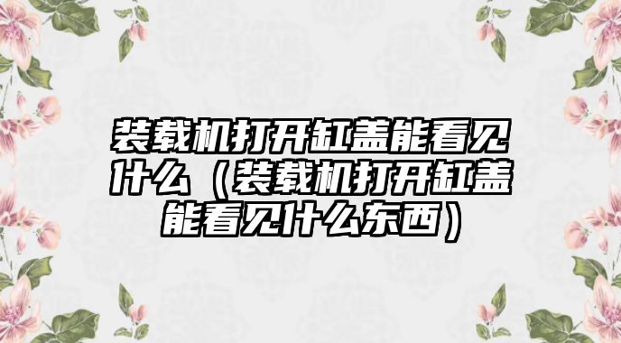 裝載機(jī)打開(kāi)缸蓋能看見(jiàn)什么（裝載機(jī)打開(kāi)缸蓋能看見(jiàn)什么東西）