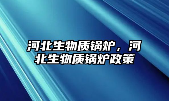 河北生物質(zhì)鍋爐，河北生物質(zhì)鍋爐政策