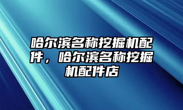 哈爾濱名稱挖掘機(jī)配件，哈爾濱名稱挖掘機(jī)配件店