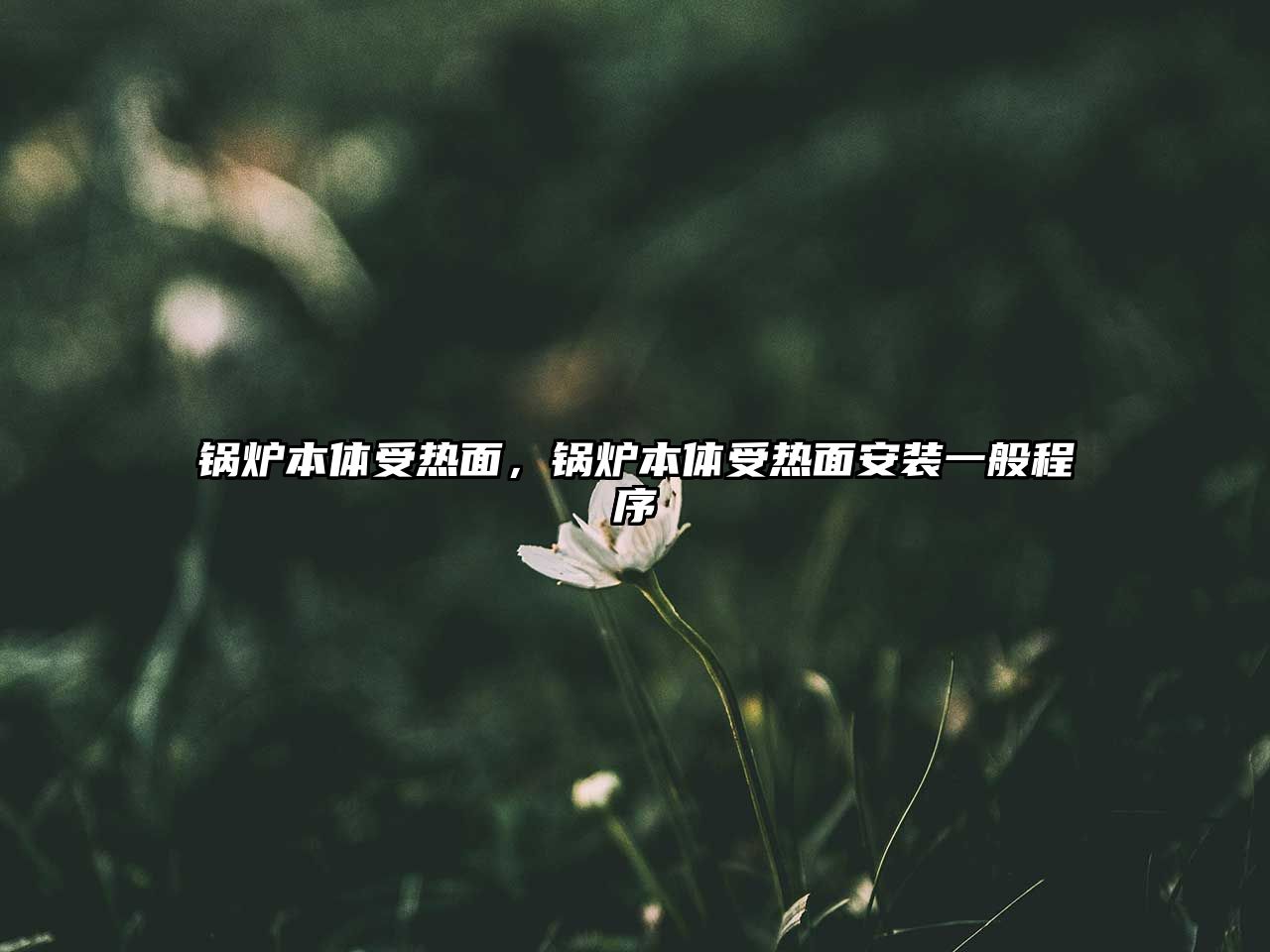 鍋爐本體受熱面，鍋爐本體受熱面安裝一般程序
