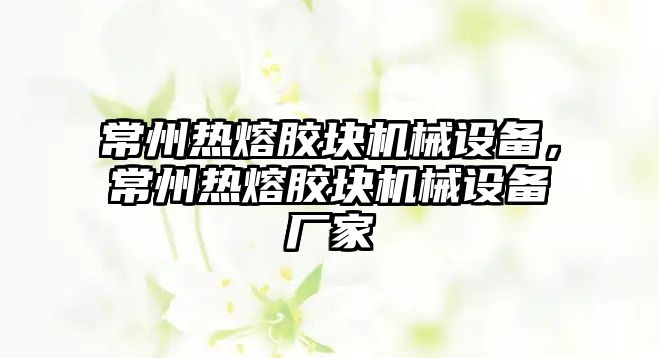 常州熱熔膠塊機(jī)械設(shè)備，常州熱熔膠塊機(jī)械設(shè)備廠家