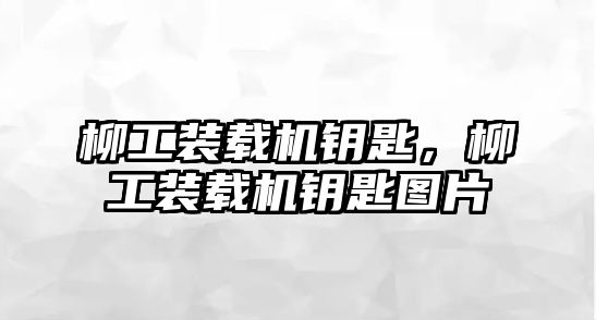 柳工裝載機(jī)鑰匙，柳工裝載機(jī)鑰匙圖片