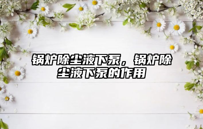 鍋爐除塵液下泵，鍋爐除塵液下泵的作用