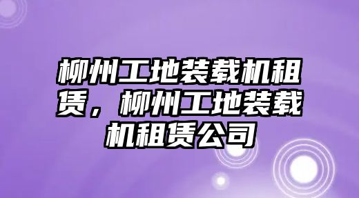 柳州工地裝載機租賃，柳州工地裝載機租賃公司