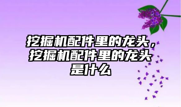 挖掘機配件里的龍頭，挖掘機配件里的龍頭是什么