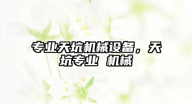 專業(yè)天坑機(jī)械設(shè)備，天坑專業(yè) 機(jī)械