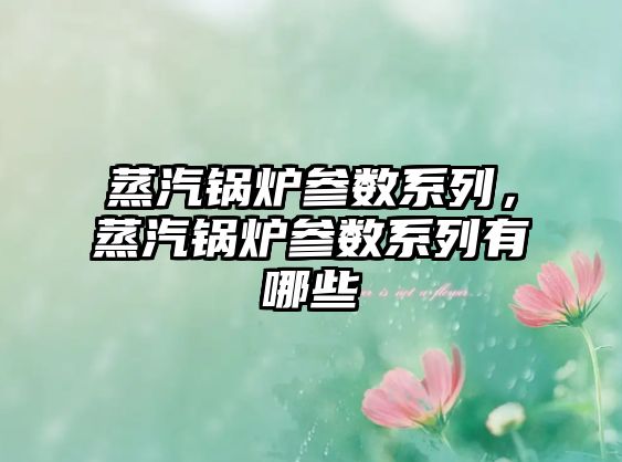 蒸汽鍋爐參數(shù)系列，蒸汽鍋爐參數(shù)系列有哪些