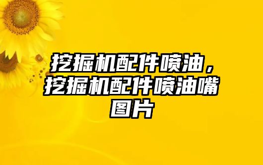 挖掘機配件噴油，挖掘機配件噴油嘴圖片