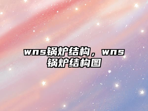 wns鍋爐結構，wns鍋爐結構圖