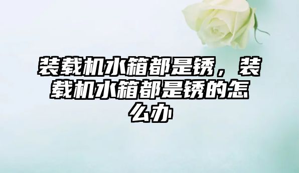 裝載機水箱都是銹，裝載機水箱都是銹的怎么辦