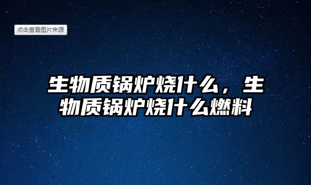 生物質(zhì)鍋爐燒什么，生物質(zhì)鍋爐燒什么燃料