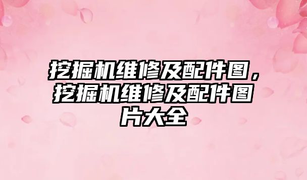 挖掘機(jī)維修及配件圖，挖掘機(jī)維修及配件圖片大全