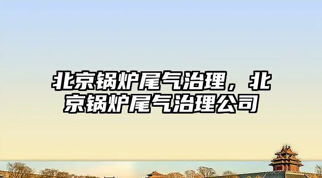 北京鍋爐尾氣治理，北京鍋爐尾氣治理公司